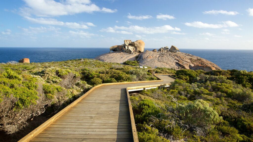 Australia South Aus Kangaroo-Island