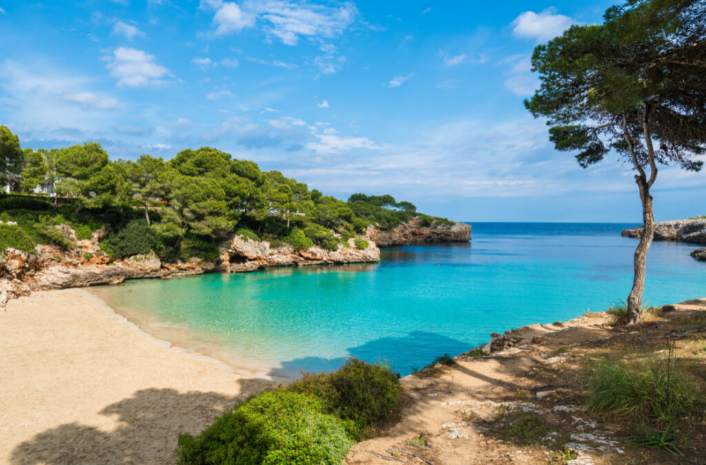 Spain Mallorca: The Ultimate Travel Guide