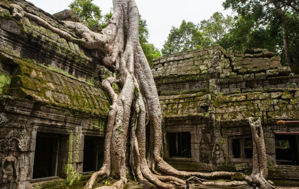 Cambodia: The Ultimate Travel Guide